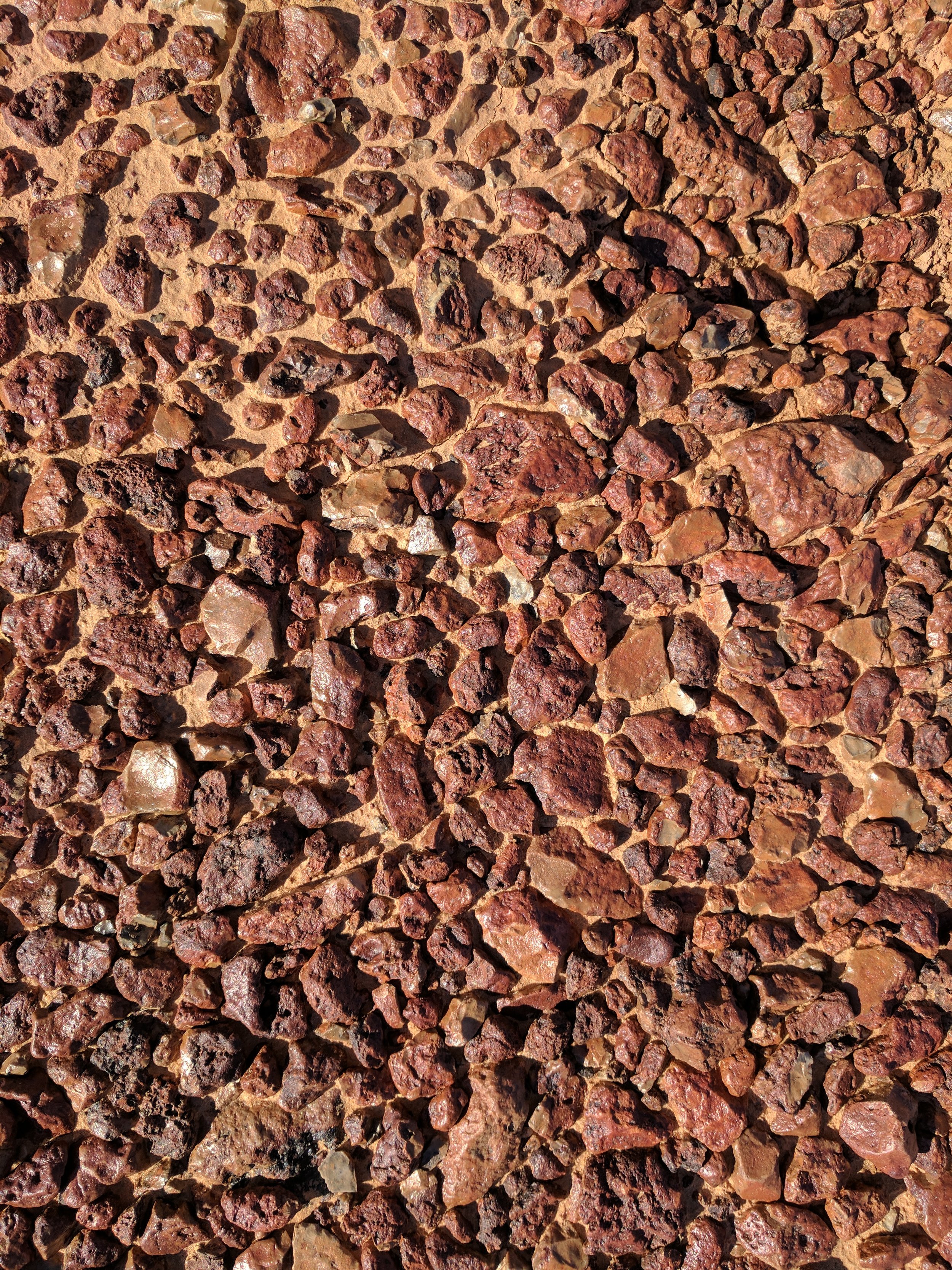 Gibber Plain