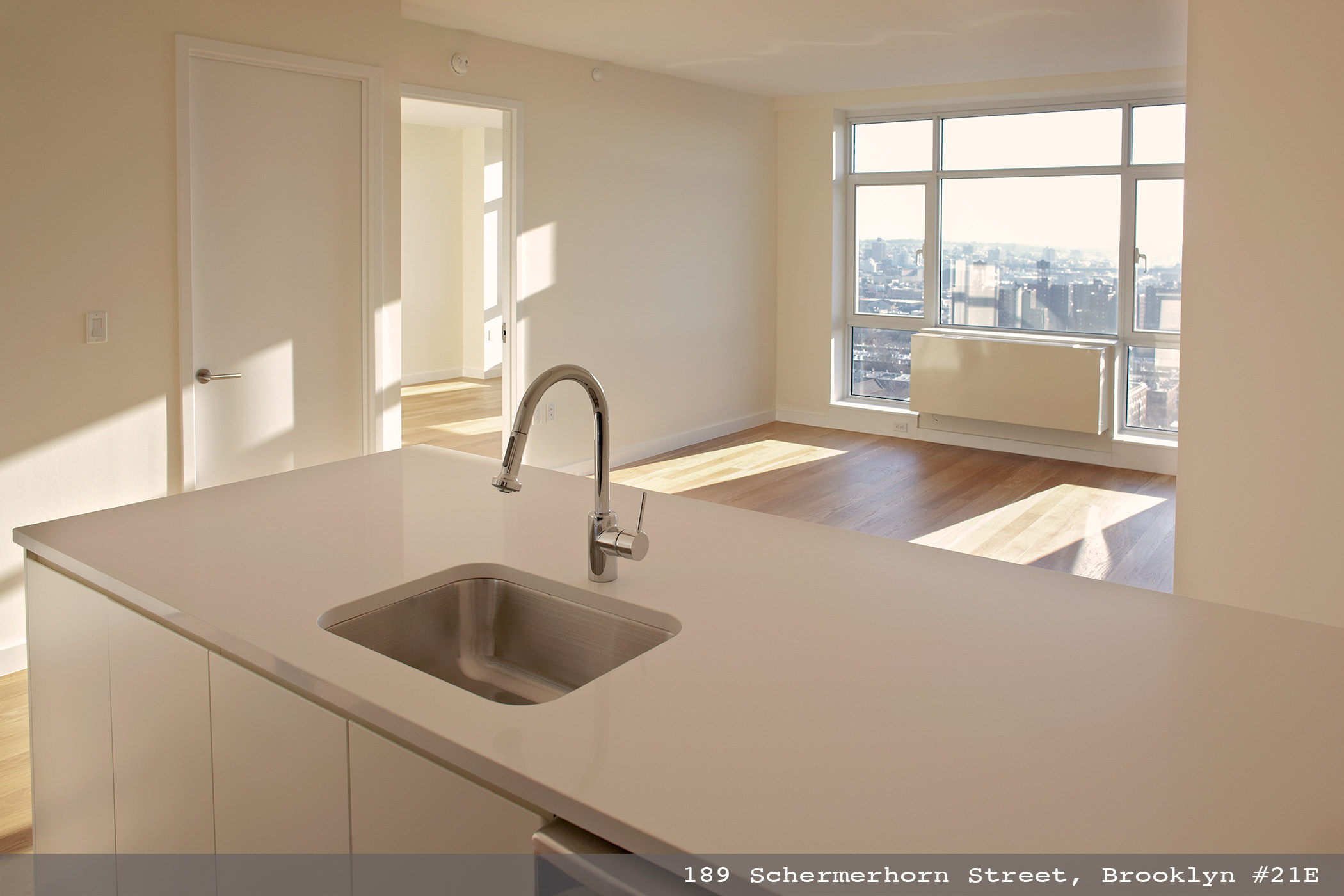 189-Schermerhorn-Street-#21E-1003.jpg