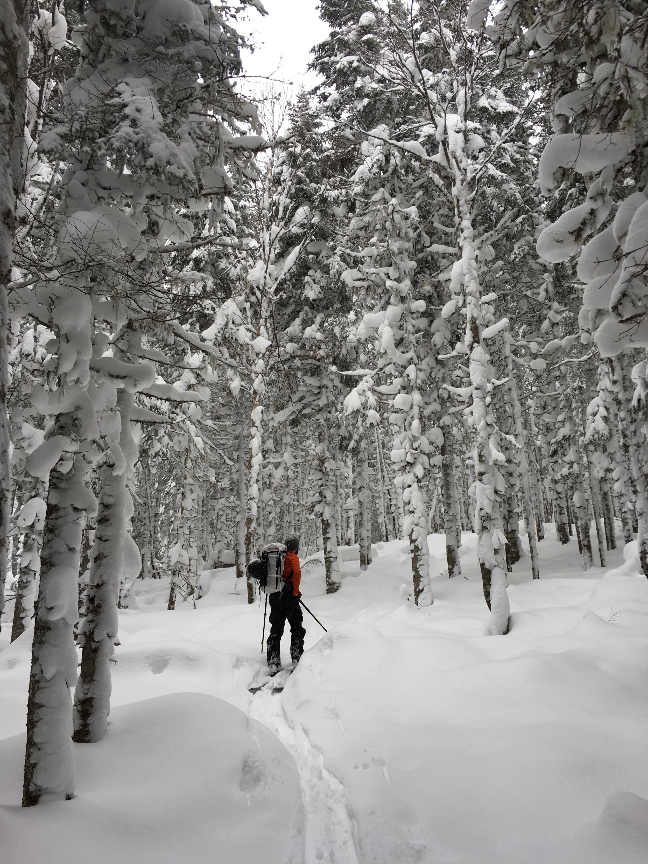 No rain crust and from what we were seeing on the way up...fairly stable snow pack!