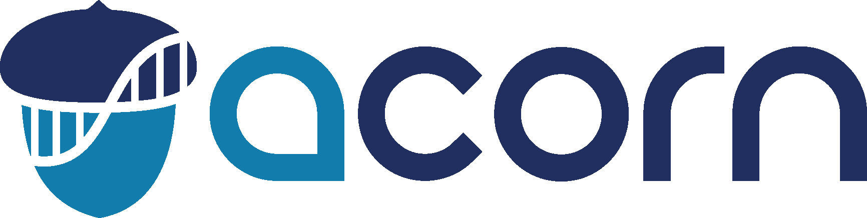 acorn.png