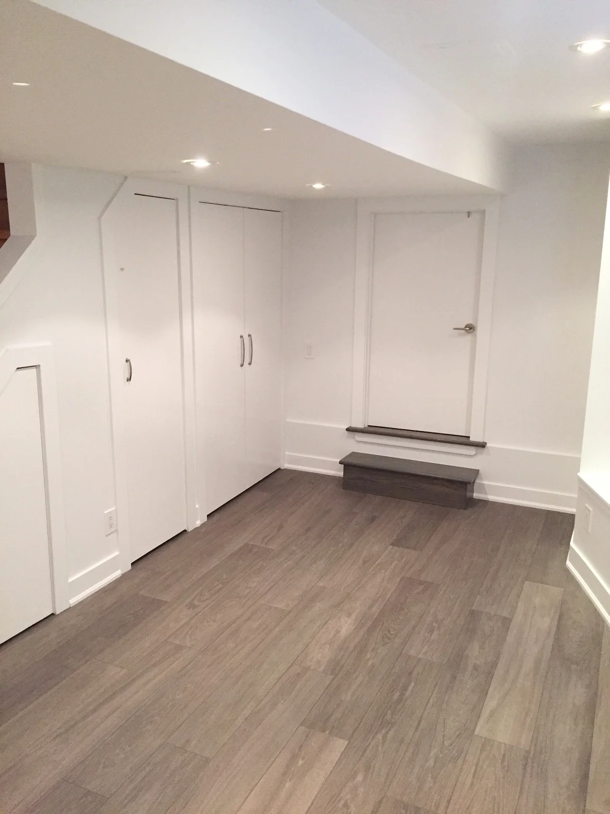 Davisville Basement Re-Finish