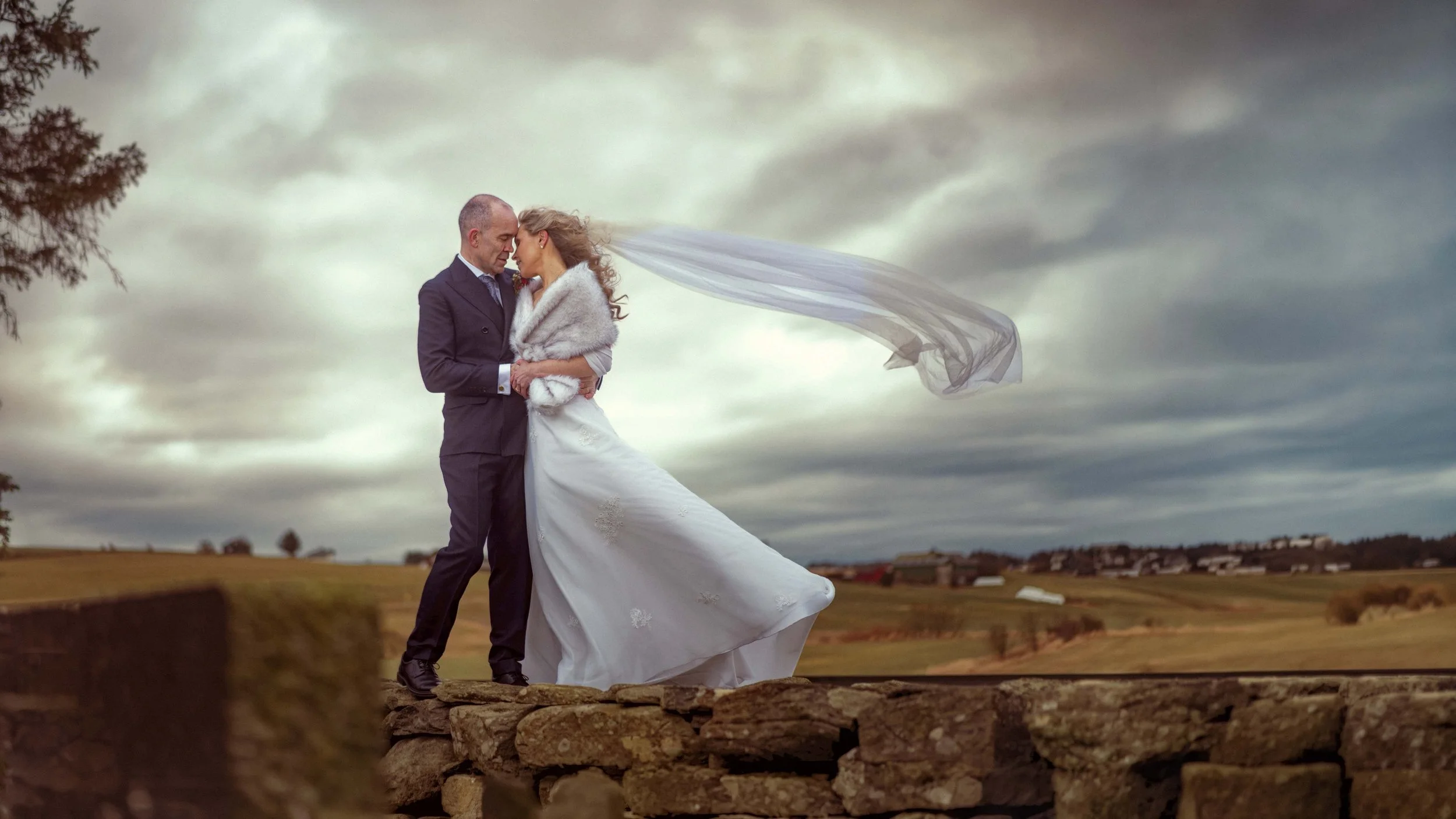 20260131 - 3422 wide.jpg