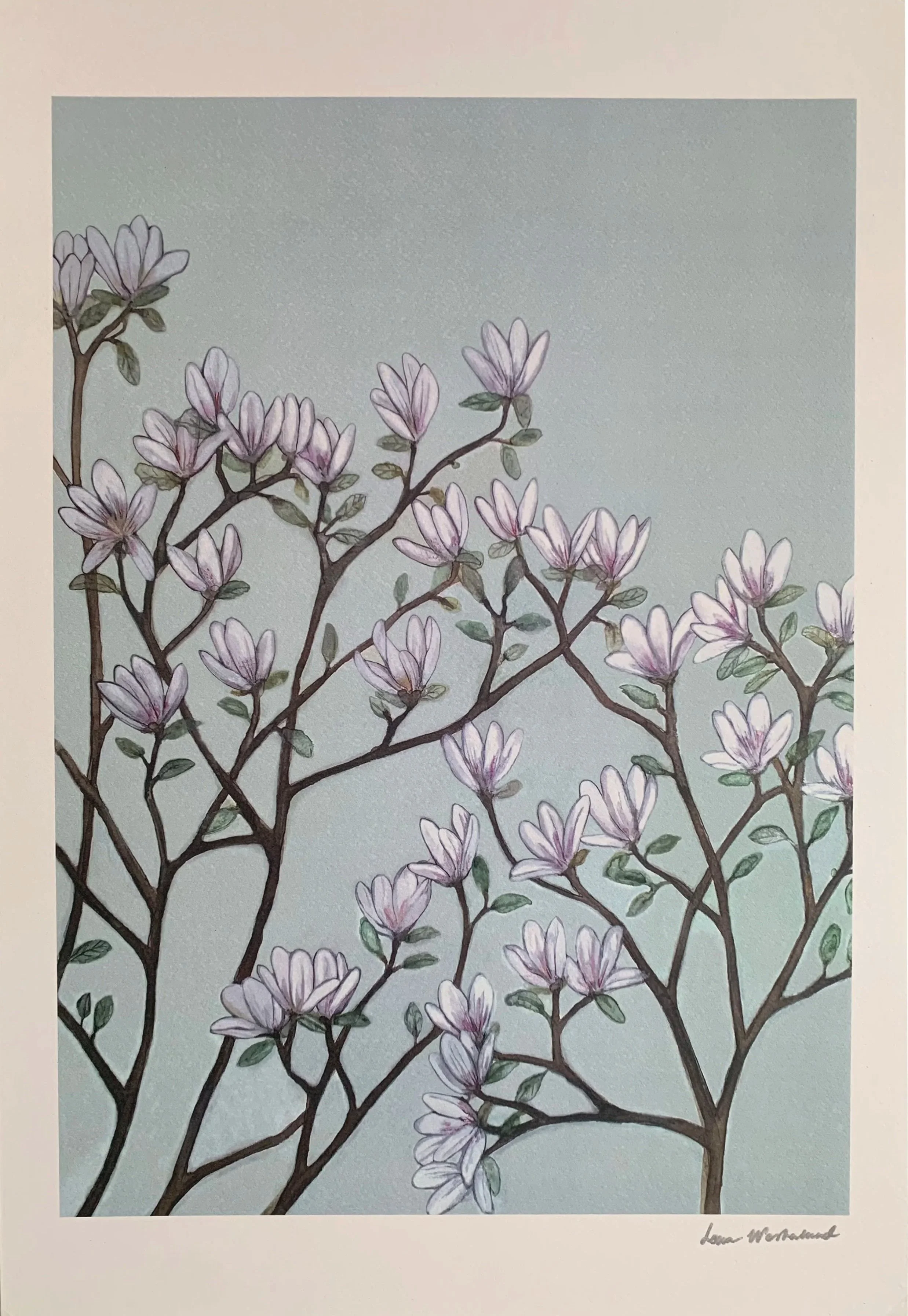 Magnolia+shop.jpg