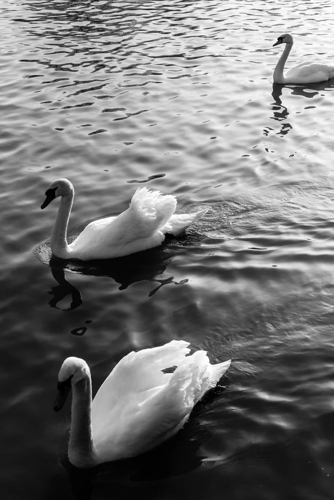 IMG_8163.jpg