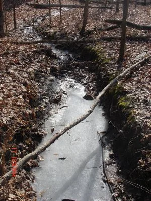 Frozen Stream