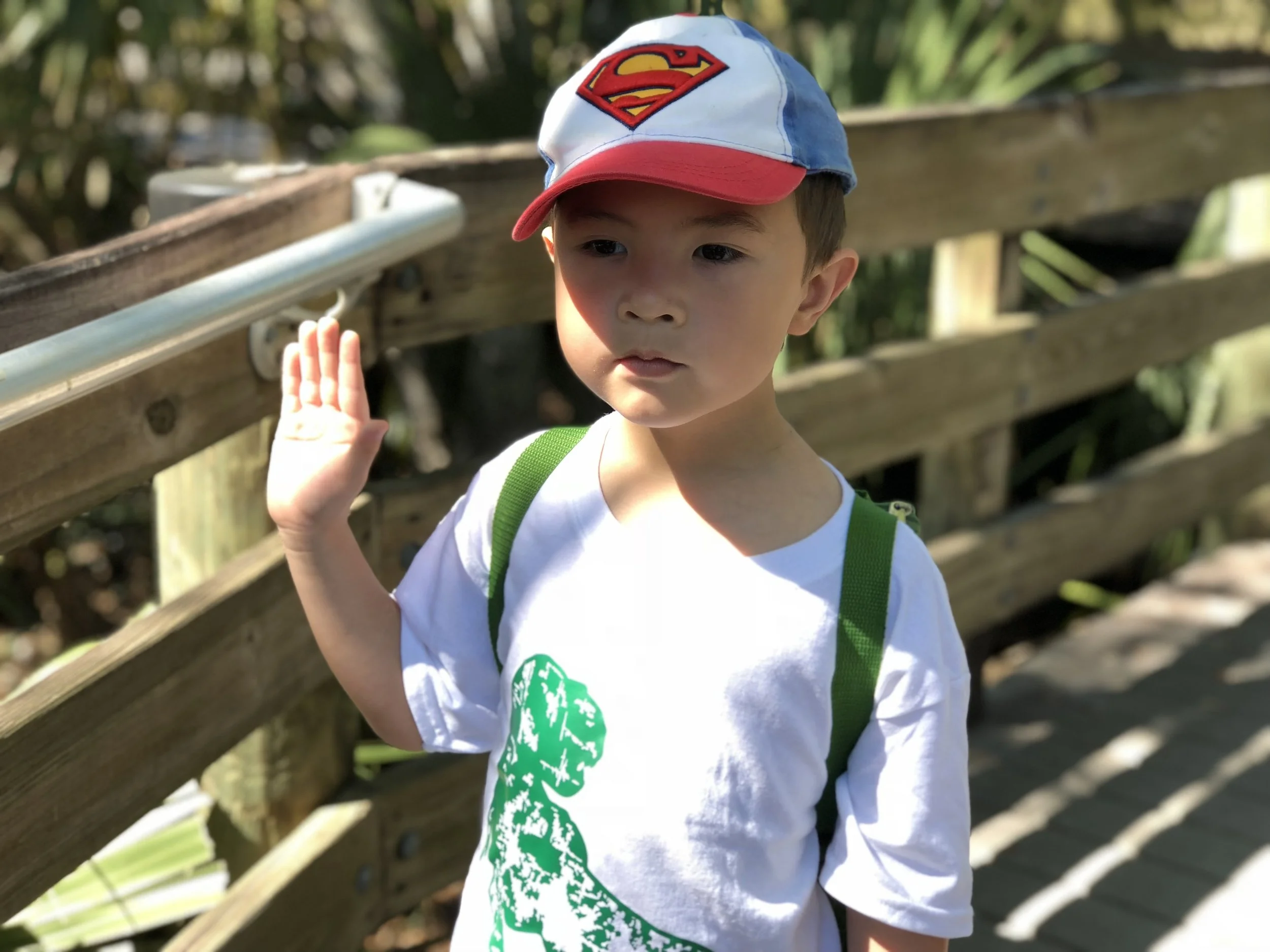 It looks like we had a swearing in ceremony before the walk... just one of his many impromptu poses when you ask him for a photo.