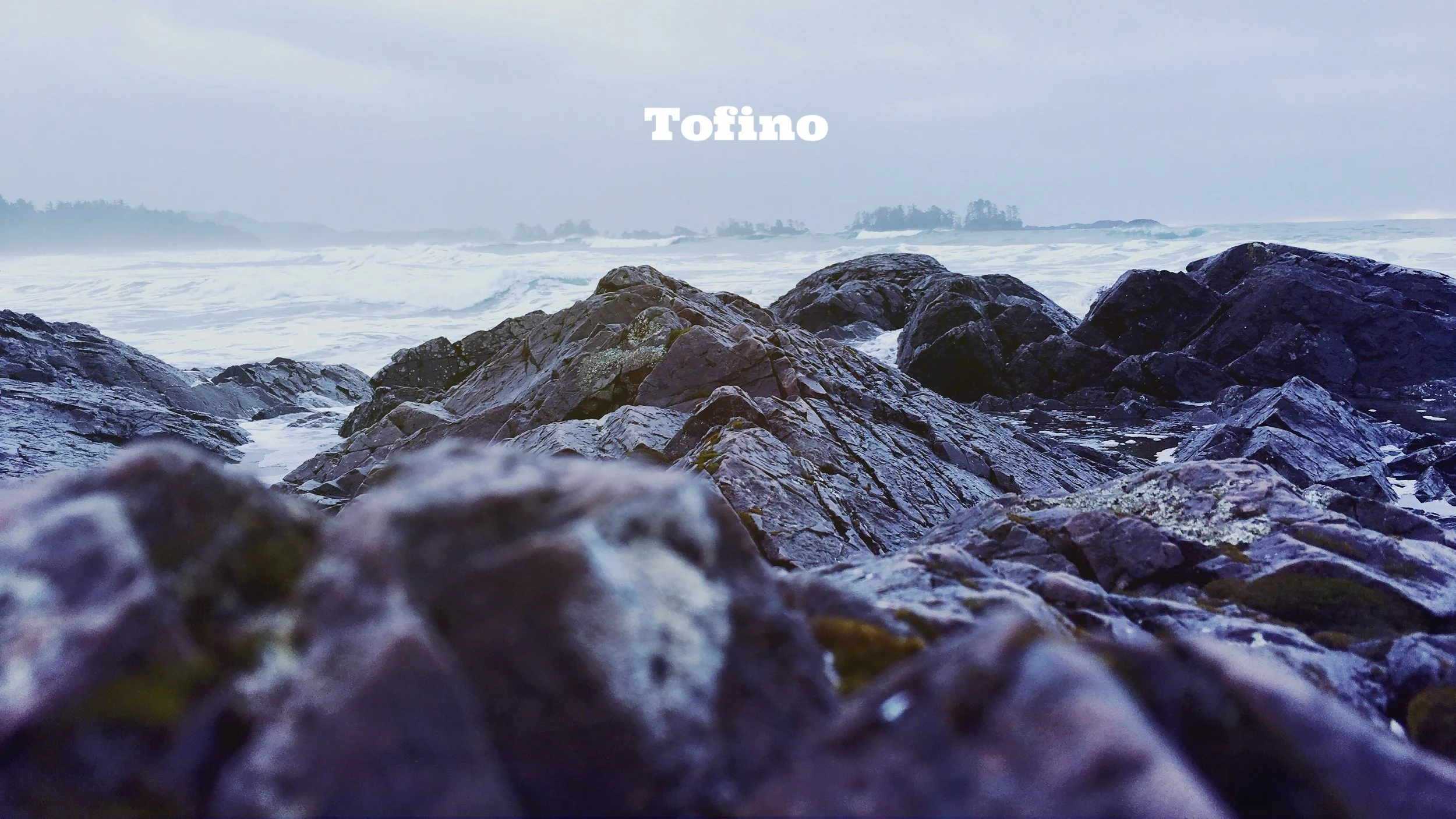 Tofino