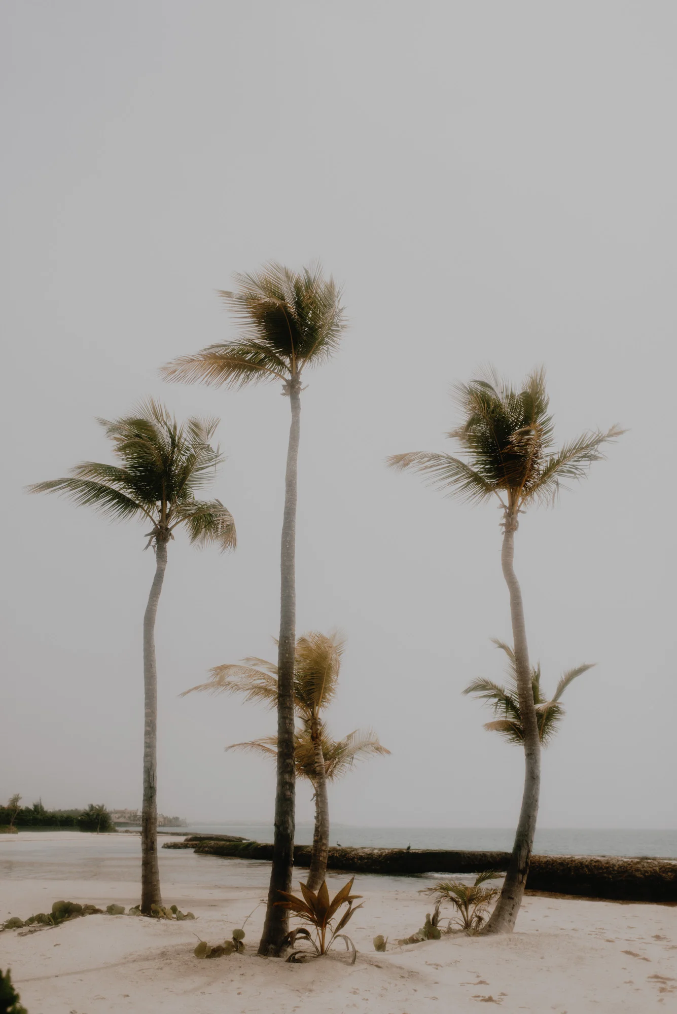 blog@layersphoto_005.jpg