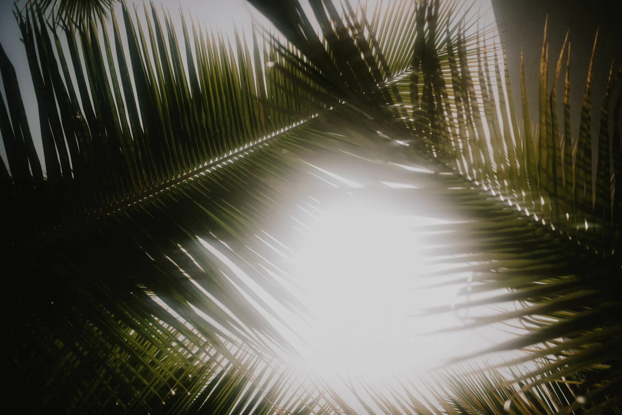blog@layersphoto_169.jpg