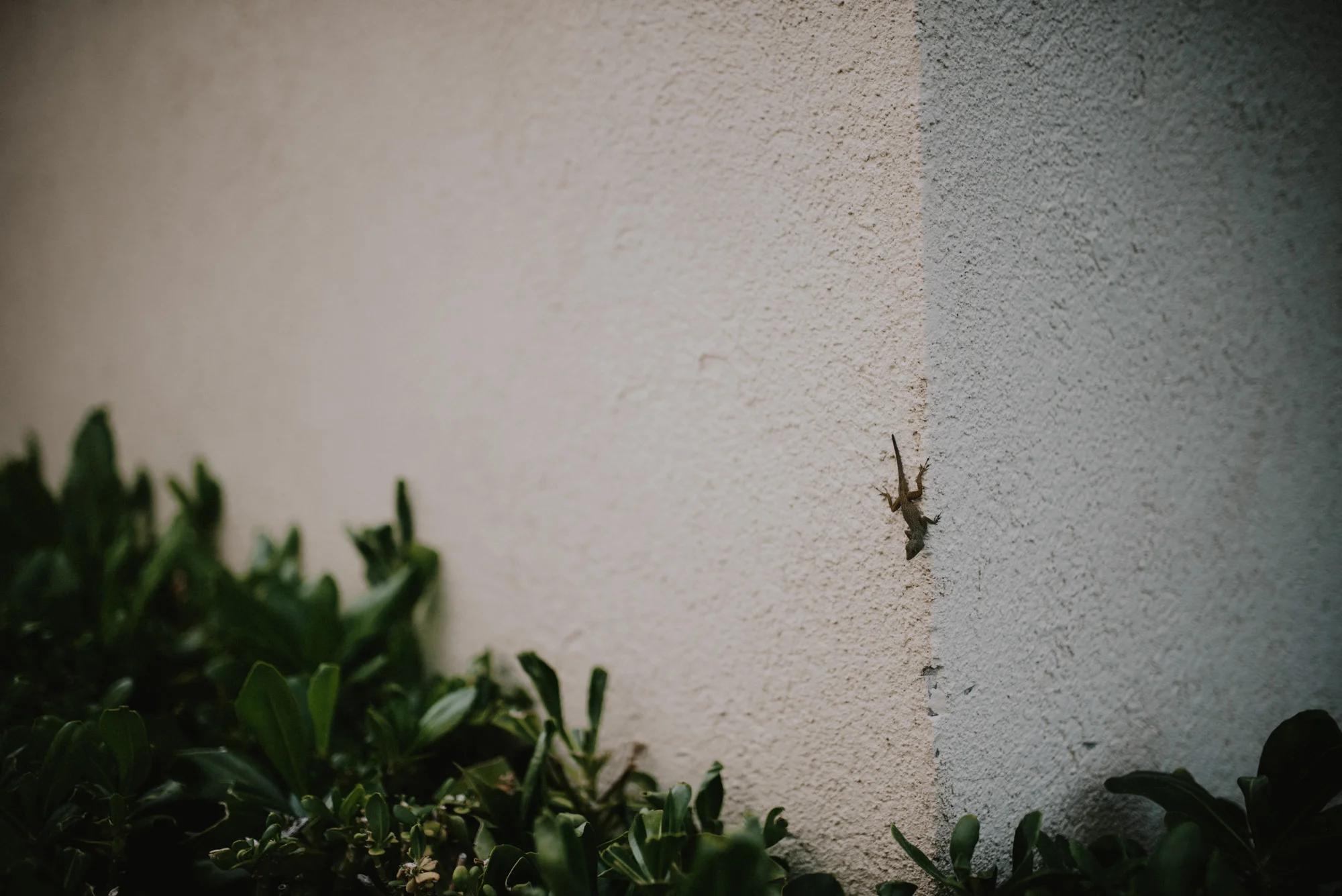 blog@layersphoto_215.jpg