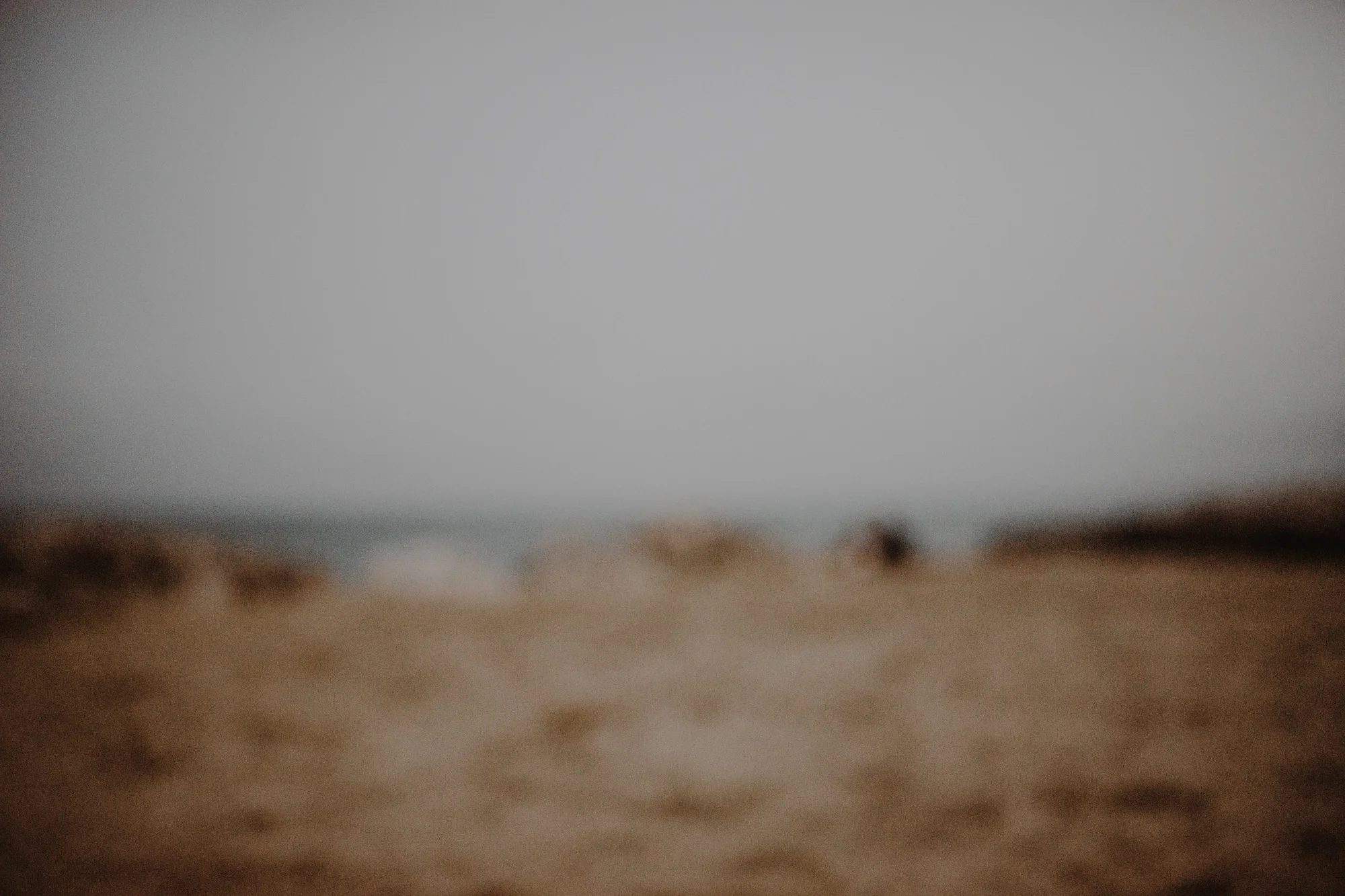 blog@layersphoto_395.jpg