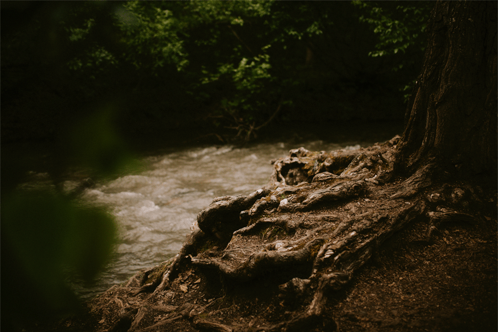 @layersphoto_alaska_rootriver.gif