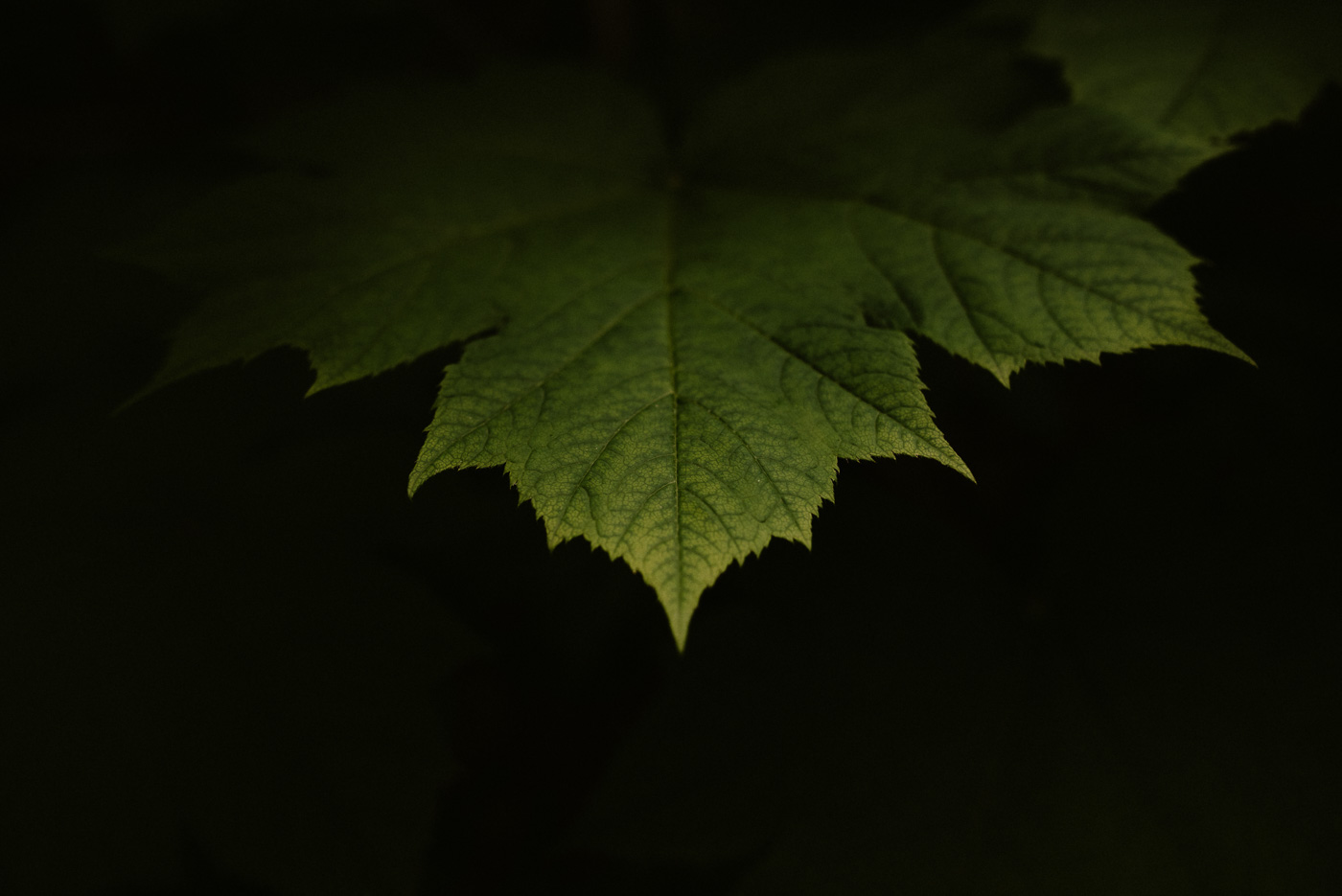 @layersphotoALASKABLOG097.jpg