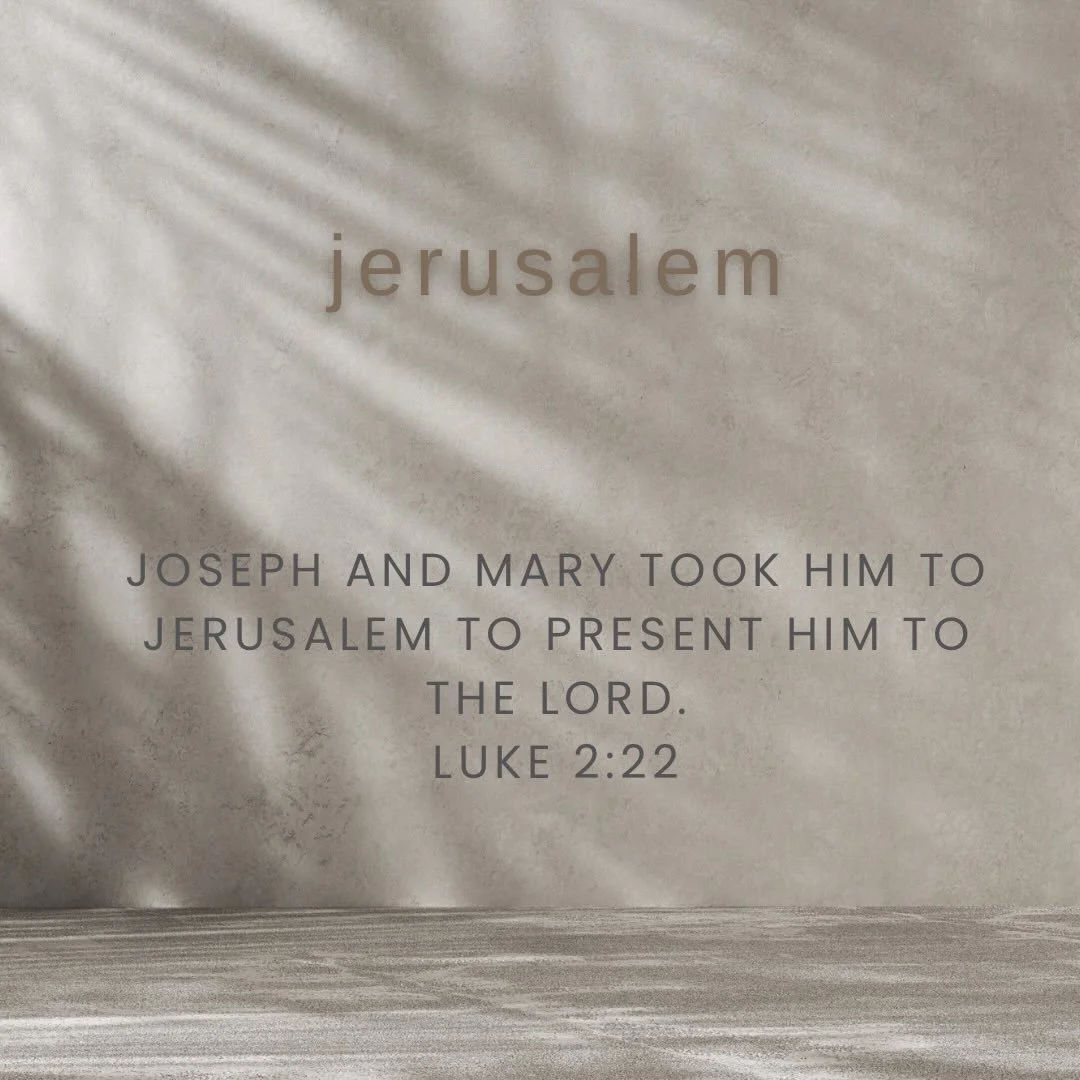 Jesus&rsquo;s journey to Jerusalem is a common choice for a Lenten reflection. That&rsquo;s exactly what we will do the next forty days and follow Jesus into the margin of society as he makes his way toward death and resurrection in Jerusalem. But Je