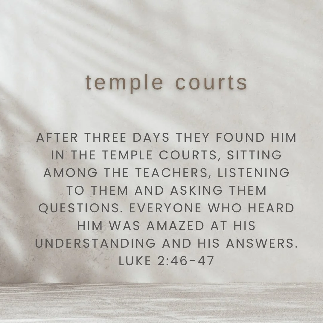 Whoops. This week has been busy and these posts aren&rsquo;t pre-scheduled. Much like Mary and Joseph we lost track for a couple days.

After Jesus goes to Jerusalem for Passover at 12 years old his parents think he&rsquo;s in the caravan of family a