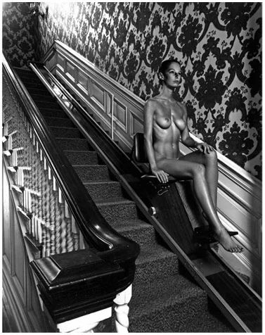 Nude Descending a Staircase, 1977