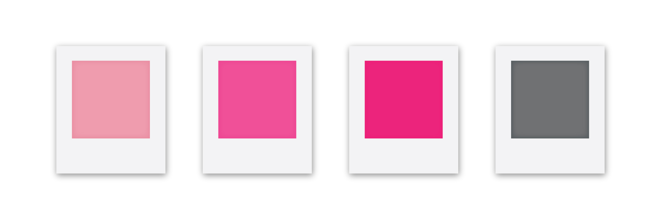 PrivyHealth_Case-study-colors.jpg