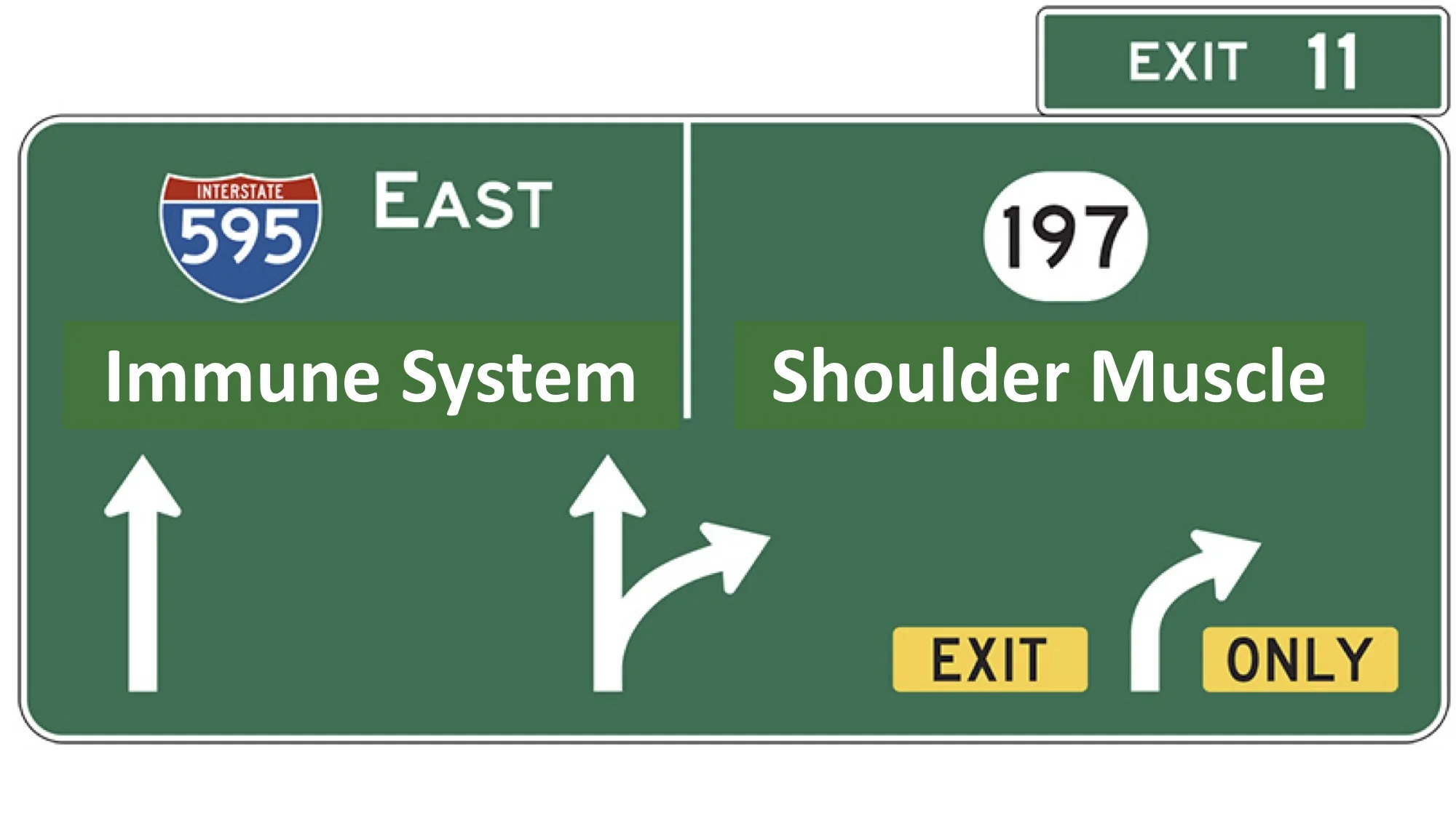 Traffic Sign.jpg