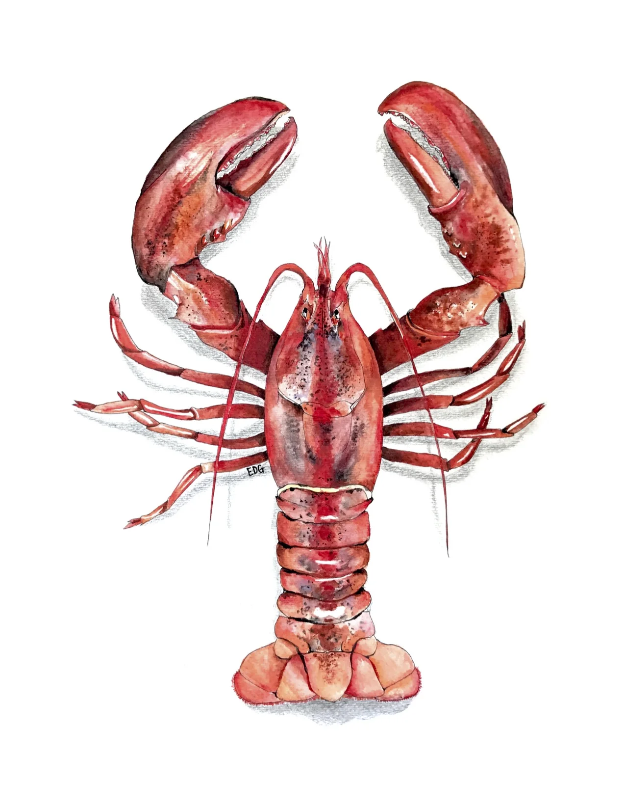 Lobster Print