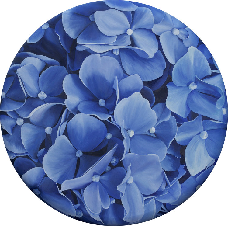 Hydrangea (Canvas Print)