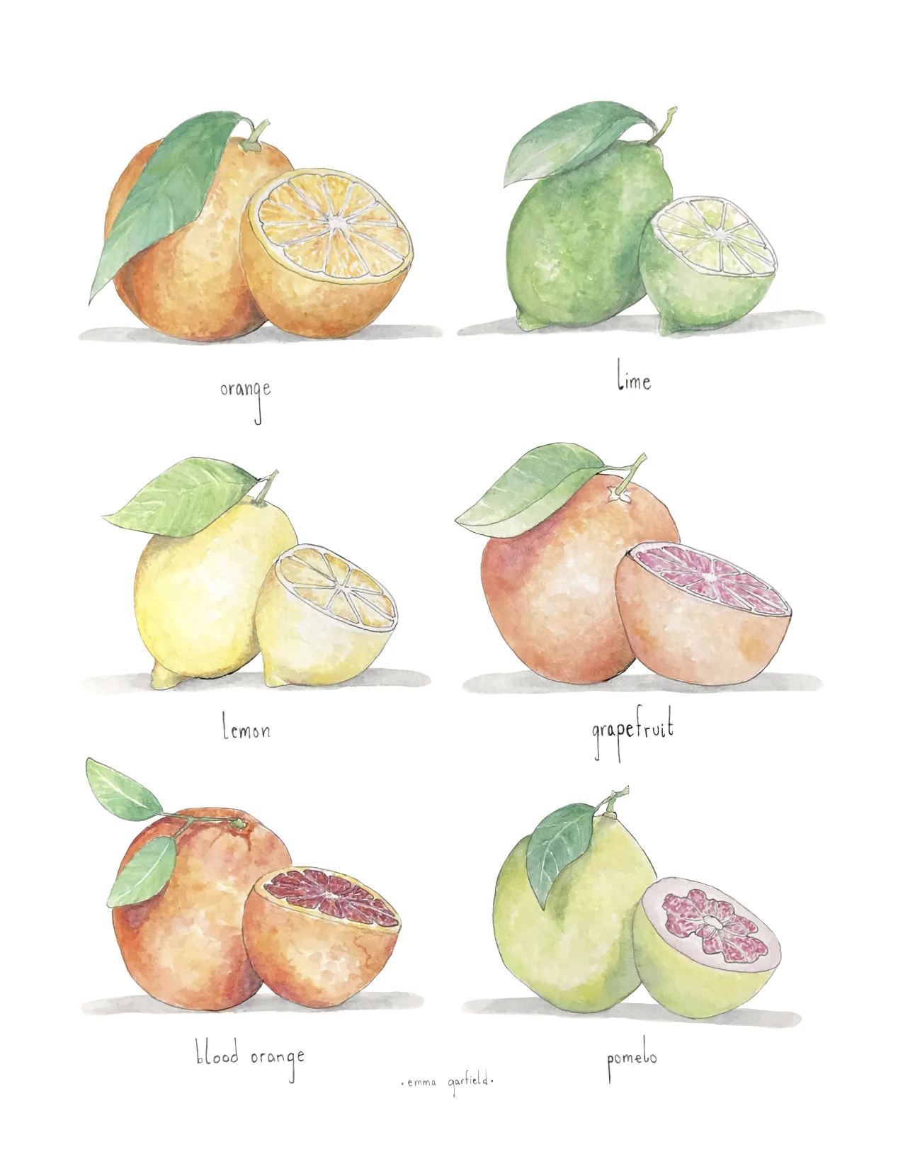 Citrus