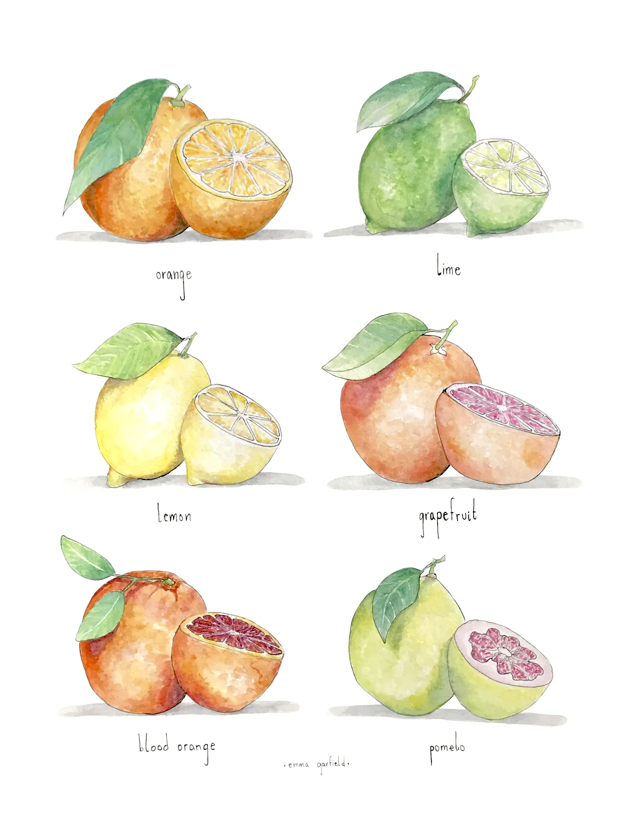 citrusprint copy.jpg