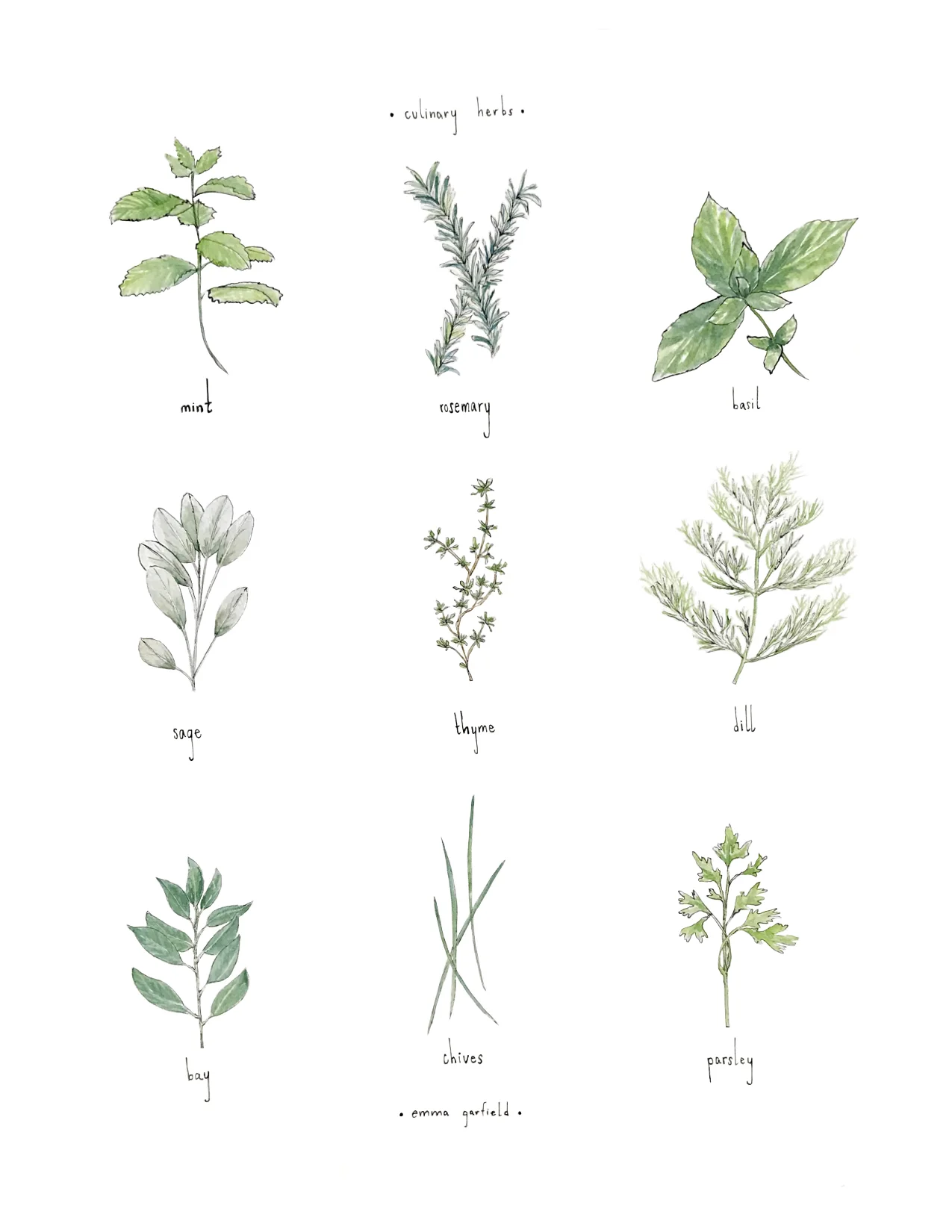 Culinary Herbs