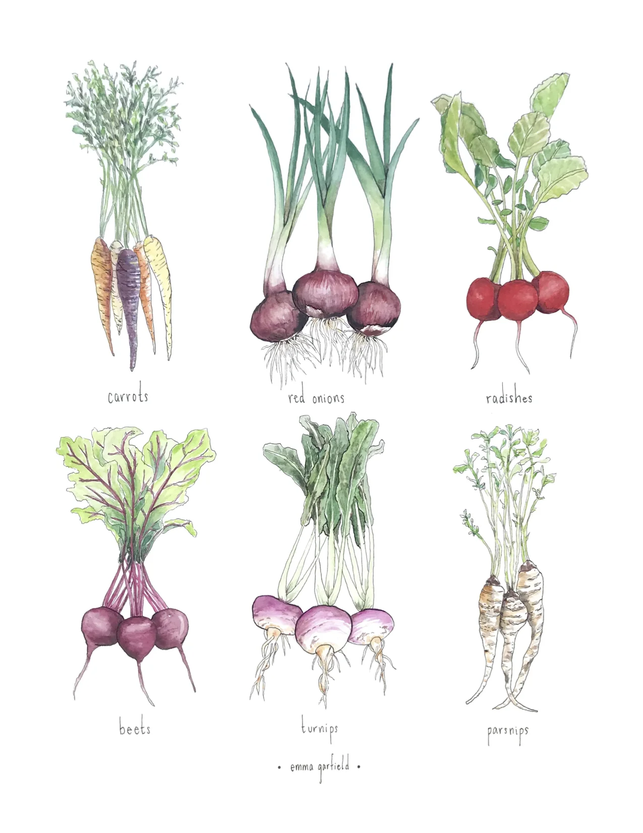 Root Vegetables 