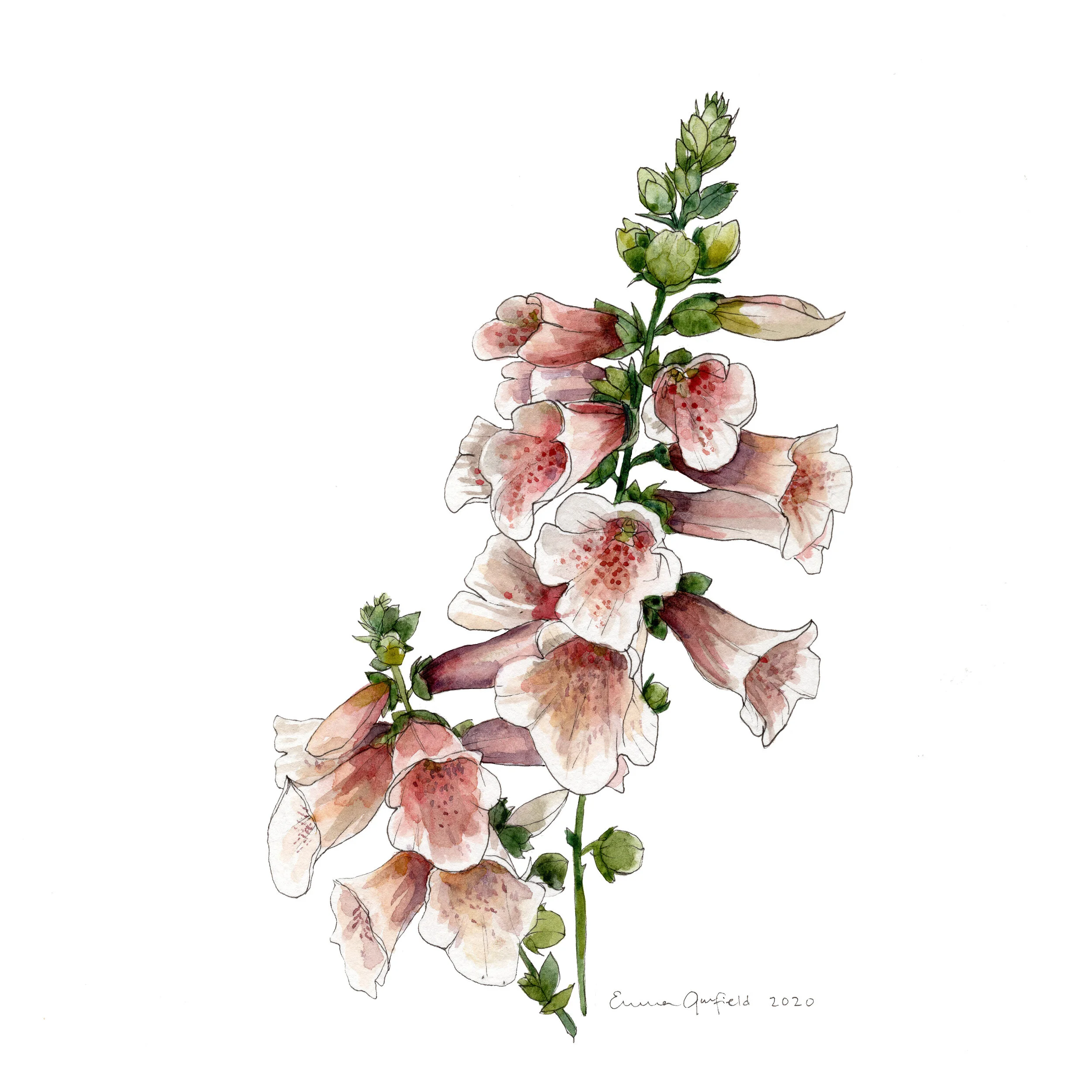 1E2377A9-C991-4205-AFBC-E69263049FB0