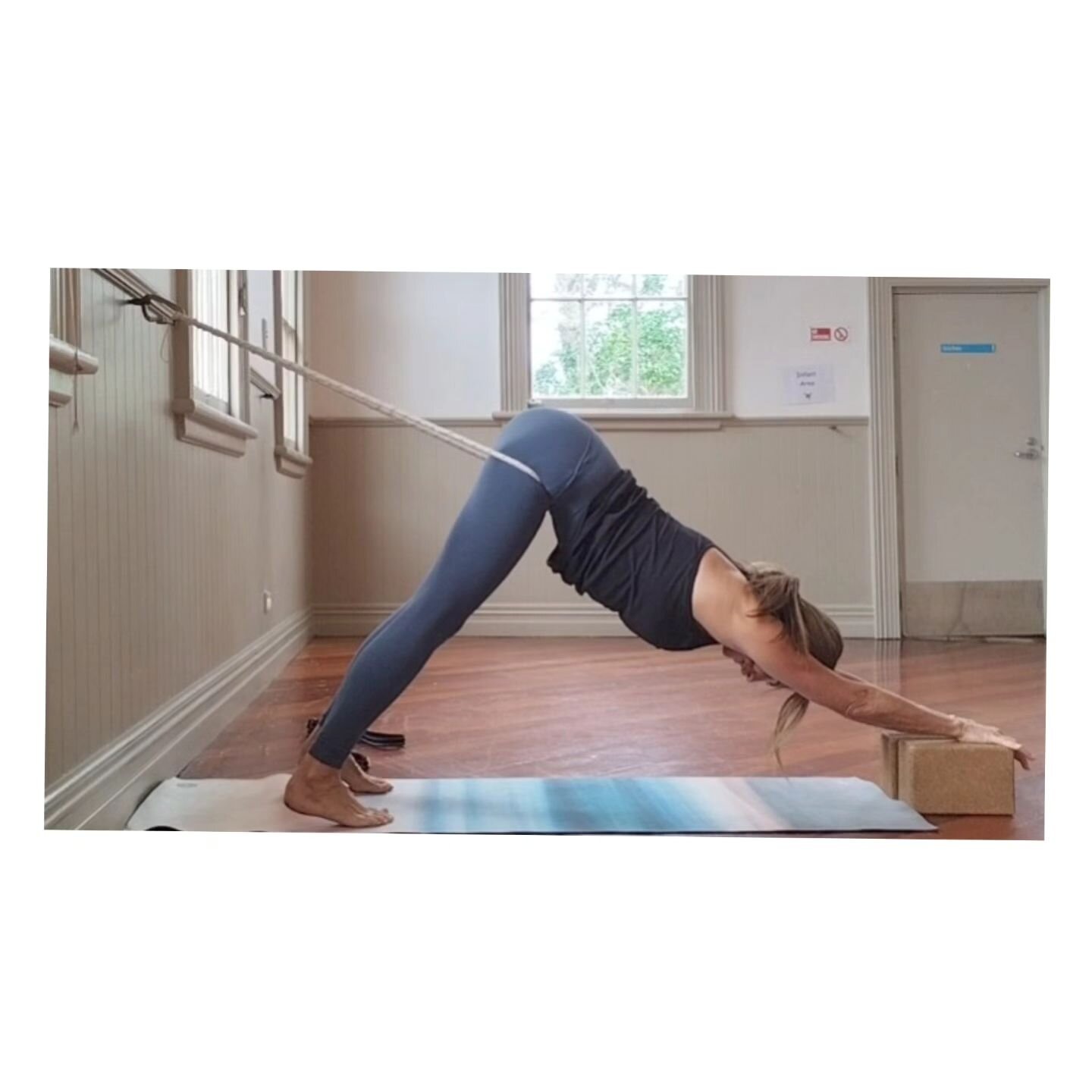 t's all about the Arm Pits!

Supported Backbends &amp; Inversions 

 &quot;Arm pits are like storage tanks - it is where energy is stored&quot;.
Geeta Iyengar

#iynz_yoga_nz 
#iyengaryoganz