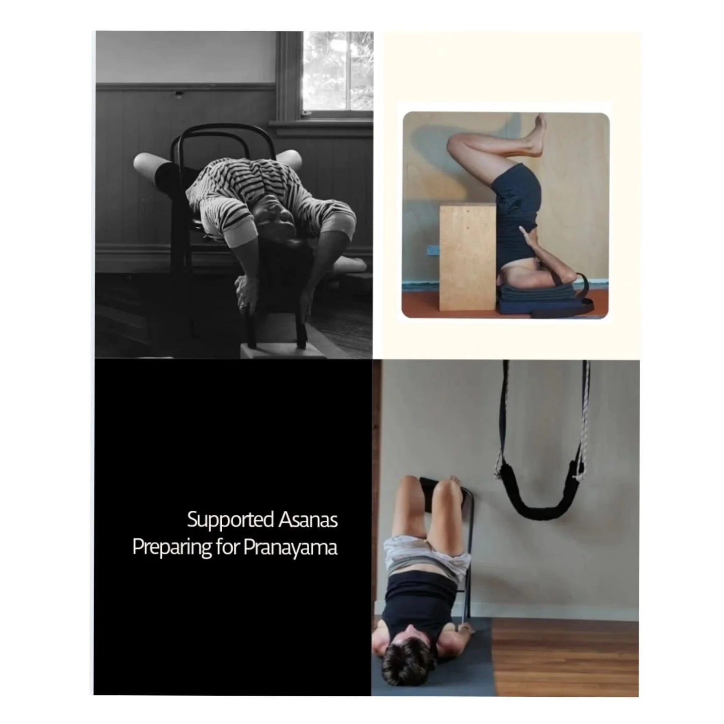 Pranayama &amp; Supported Asanas 
Workshop - Ponsonby Studio
Thurs 21 Nov
18h00 - 20h00

An introduction to basic Pranayama (breathing exercises), and Asanas (postures) that support the seated practices.

Beginners welcome.

Conscious breathing benef