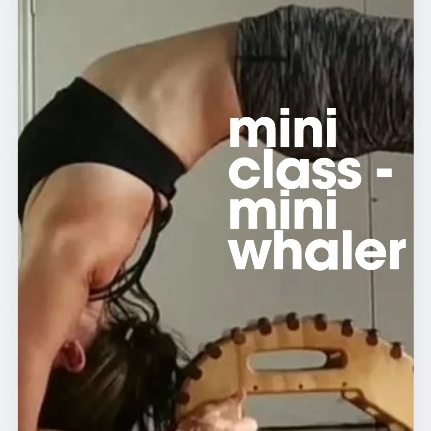 A Mini Class using the Mini Whaler
Online with Suzi Carson

Tues 3 Dec
07h00 - 08h00
Meeting ID: 733-992-602
$19