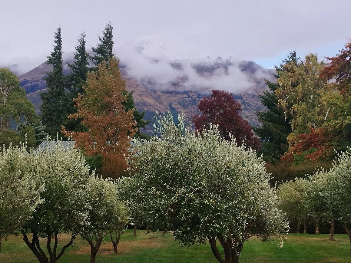 wanaka retreat mountain.jpeg