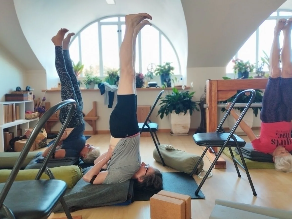 Taupo ella sarvangasana.jpeg