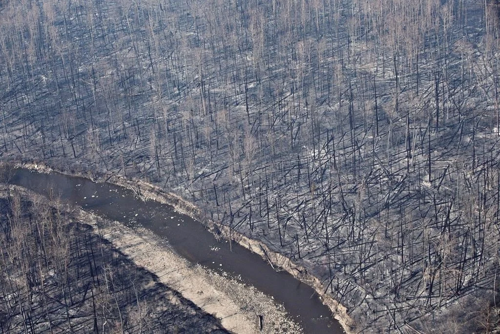 Fort McMurray , region with upwards of 88,000 people forced from their homes. Firefighters were assisted by personnel from the Canadian Forces , Royal Canadian Mounted Police , other Canadian and nations to fight the wildfire.