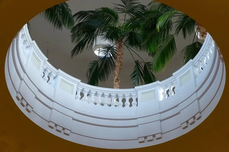 The Palm Room is near the top of the dome at the Alberta Legislature. In the dome there are five palm trees. Today the trees are between five and seven metres high. The Palm trees were a gift from The State of California in 1932.