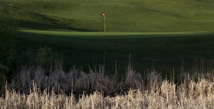 Web_Golf_Photos_0011.JPG