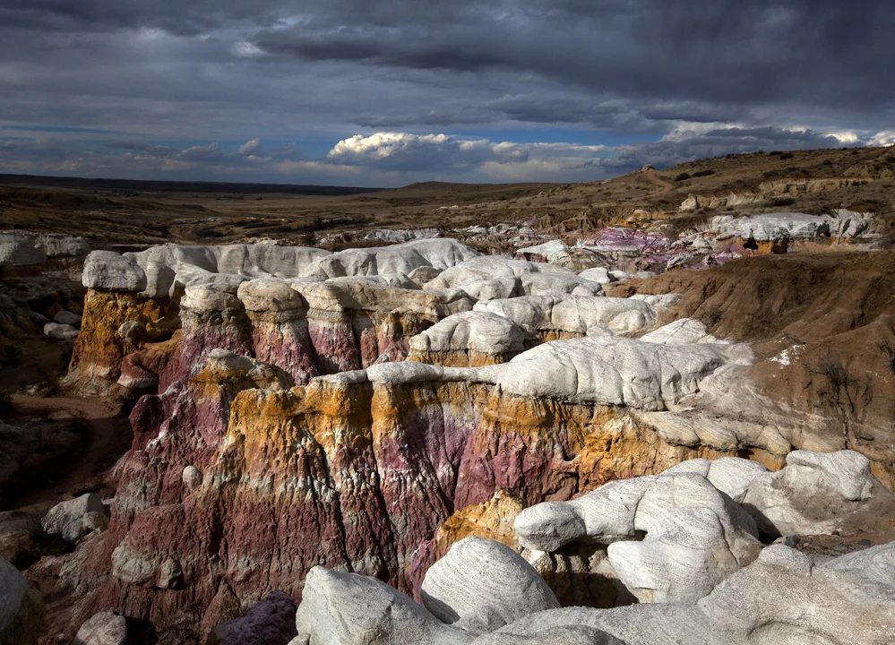 2016_Nature_LO_RES_Photos_00014.JPG