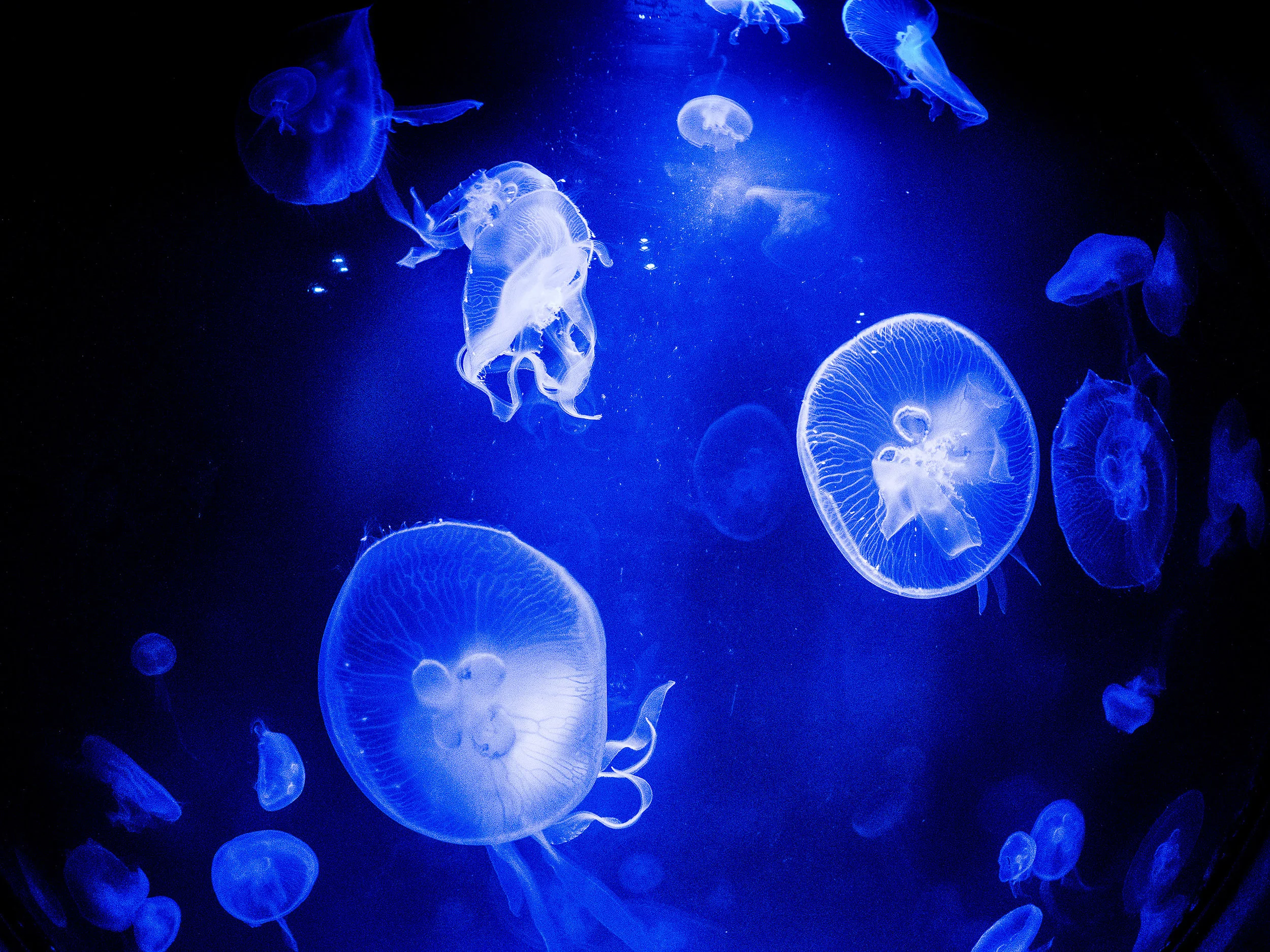 _9020624.jpg