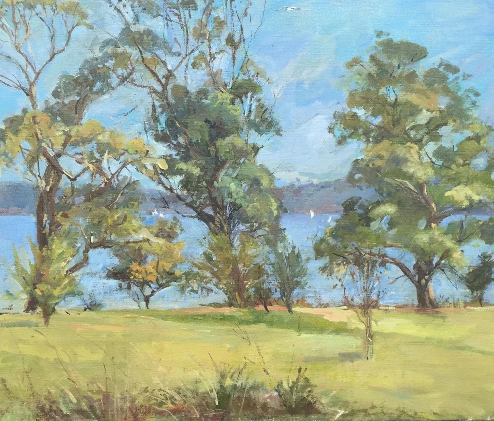 Looking Through the Gum Trees