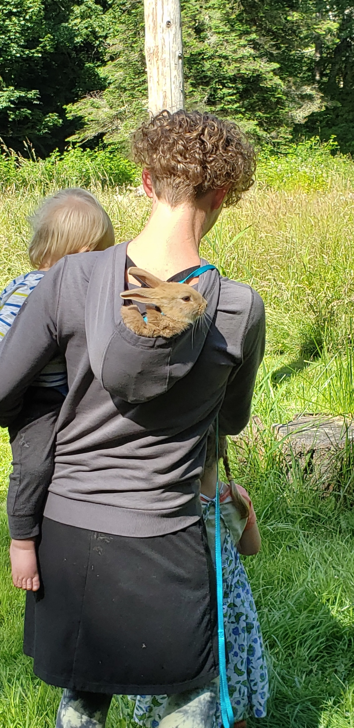 processed_20190629_163402.jpg