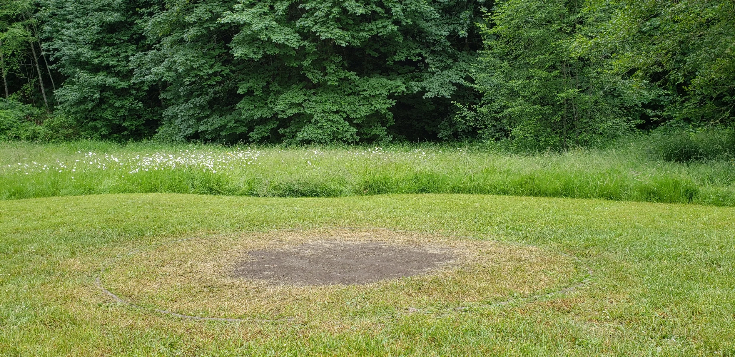 processed_20190605_171505.jpg