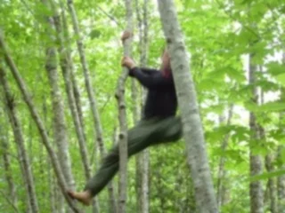 Thoughts on Primal Movement