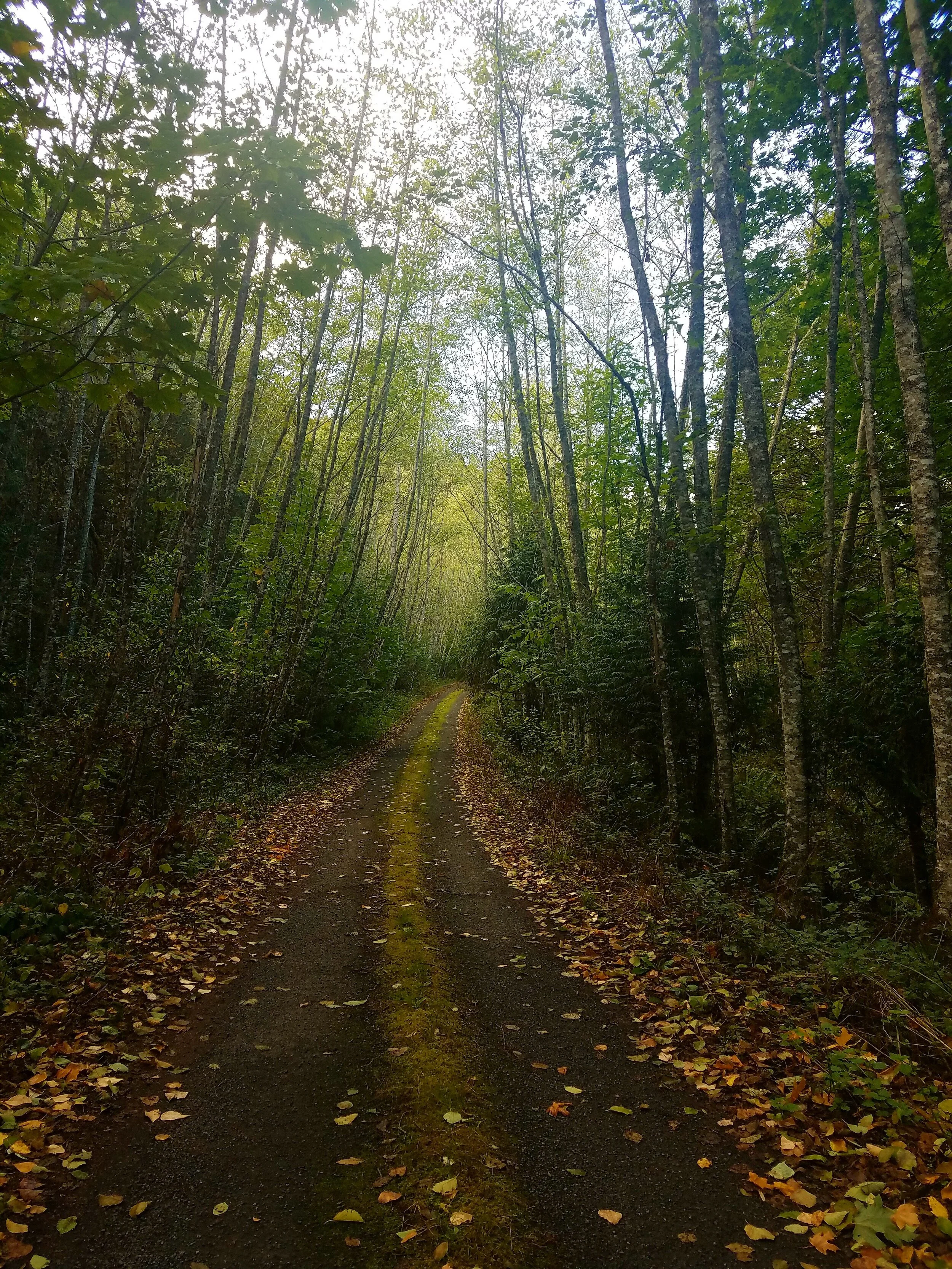 20171001_132928.jpg