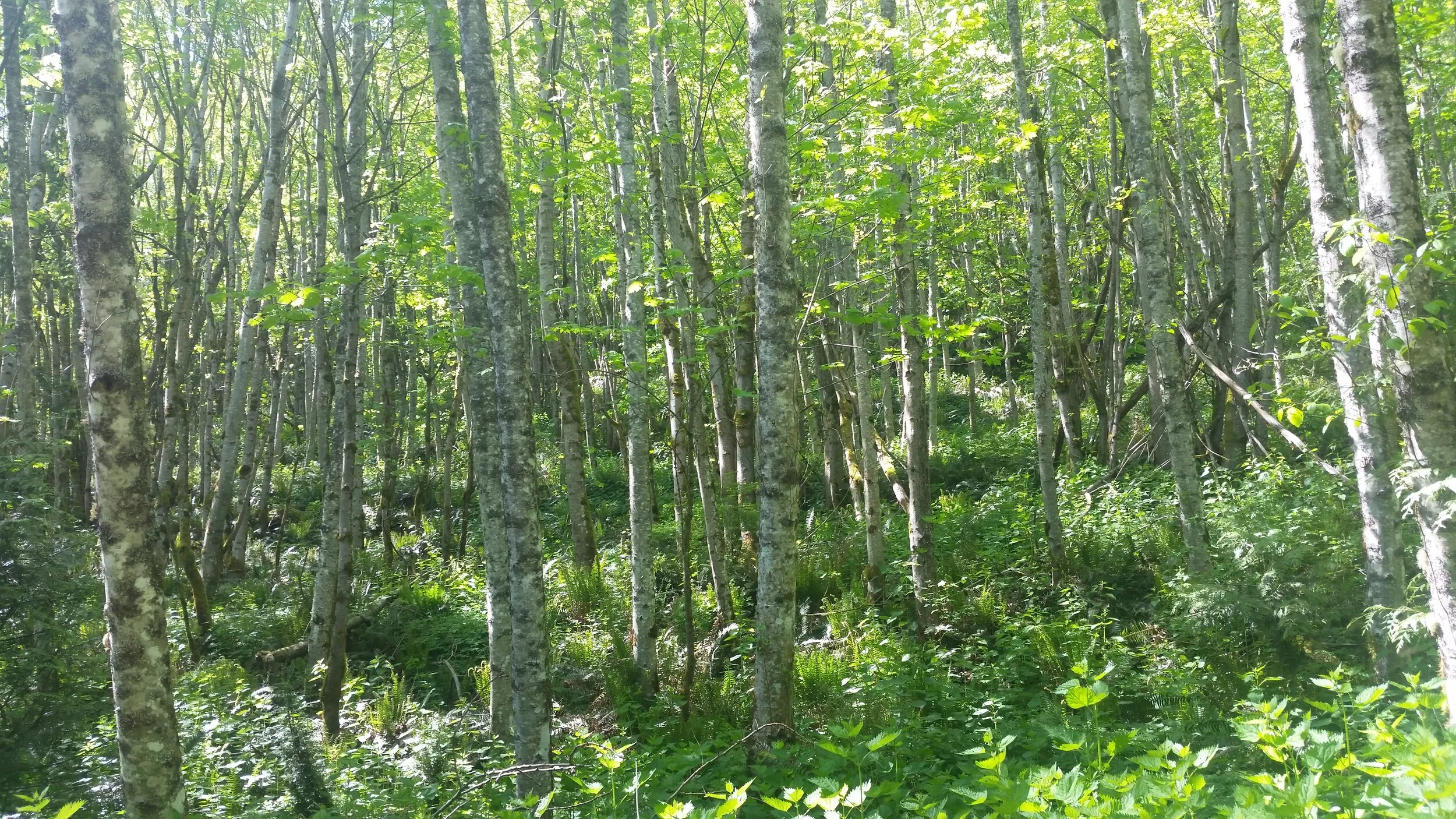 20180506_112900.jpg