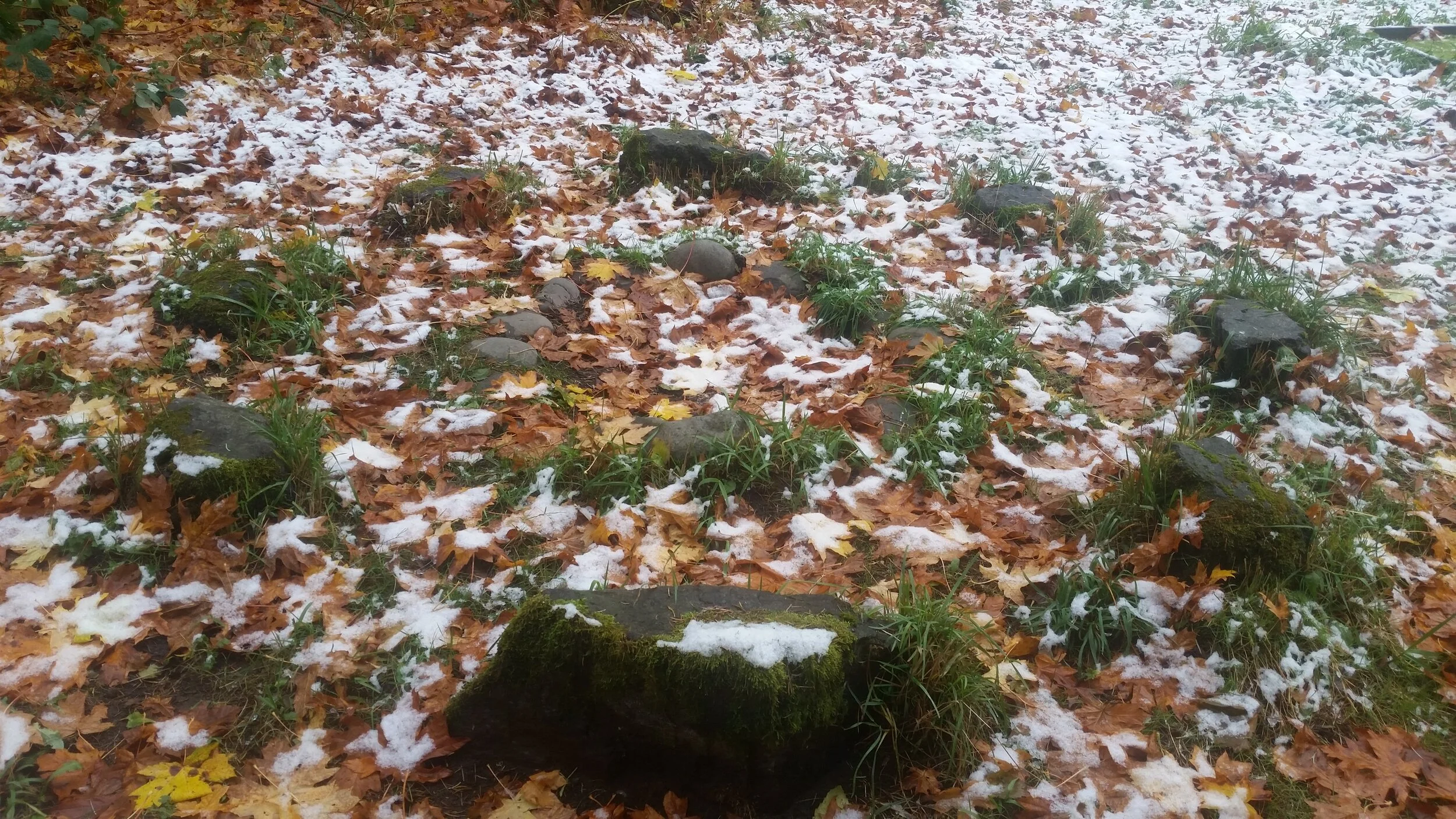 20171105_143630.jpg