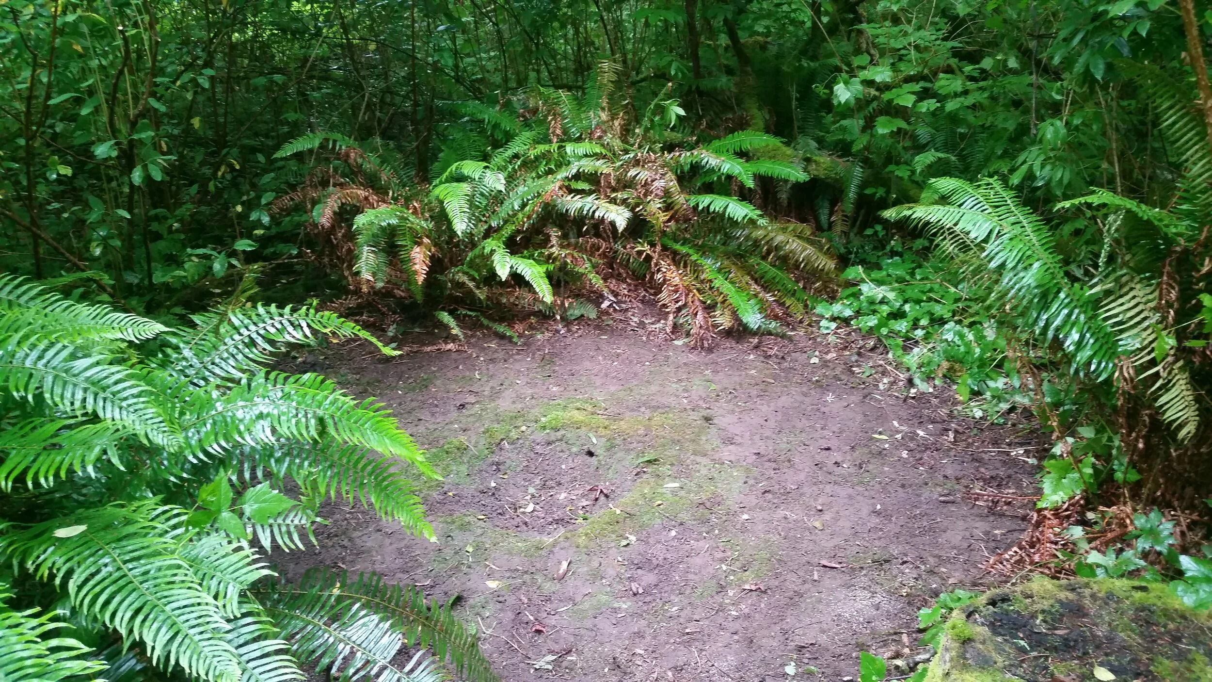 20180622_114557.jpg