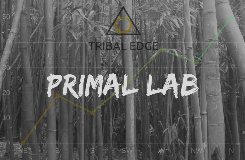 Primal Labs Flyer 20219 - Copy (2).png