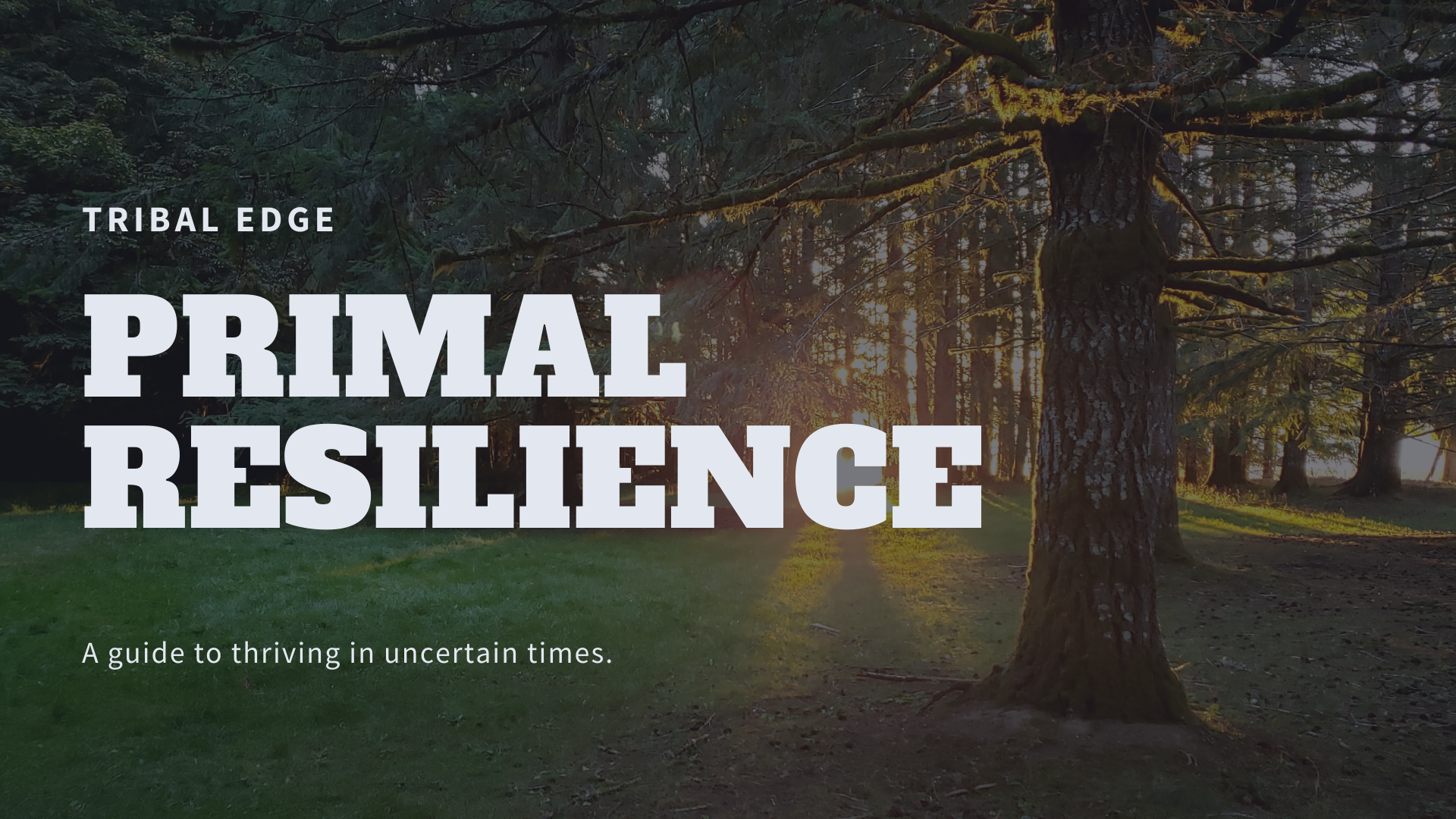 Primal Resiliance