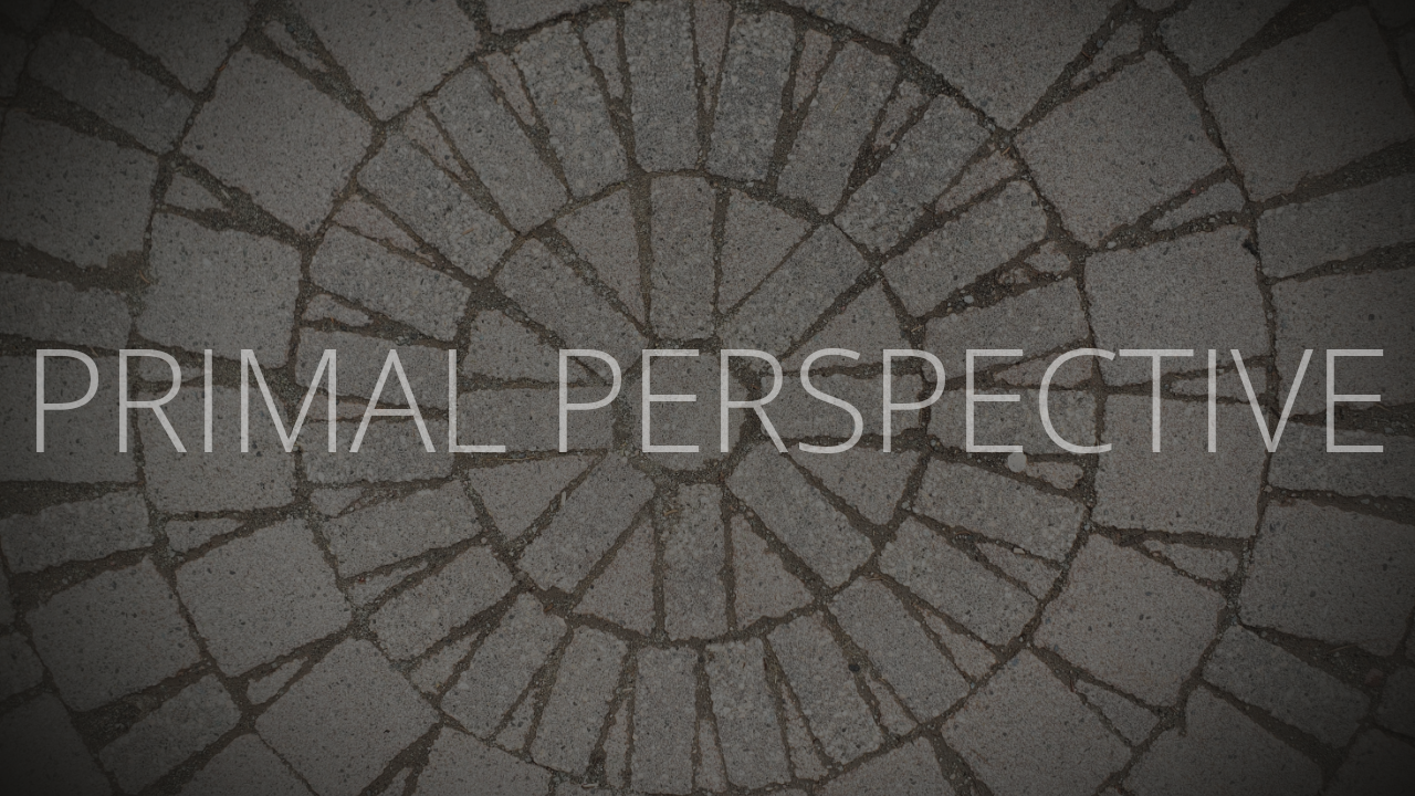 Primal Perspective 1- Tracking with Bill Marple